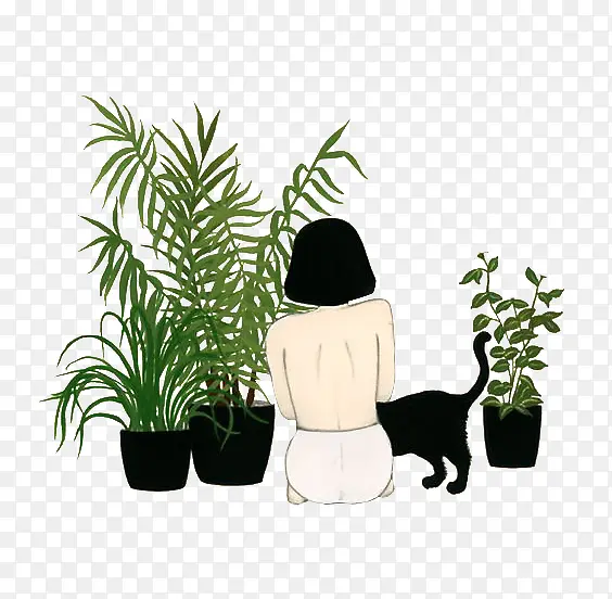 植物类插画