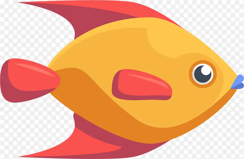 海洋生物橙色嘟嘴的鱼