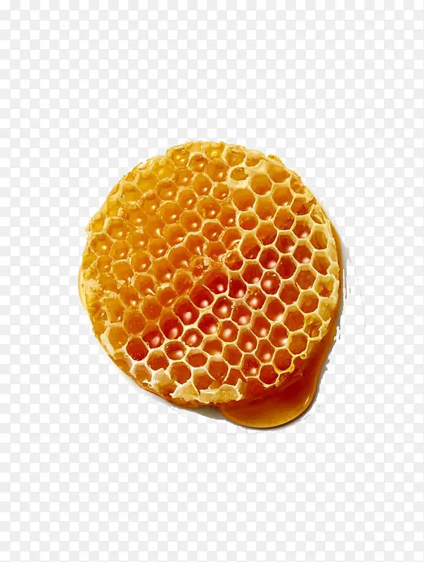 黄色的蜜蜂巢