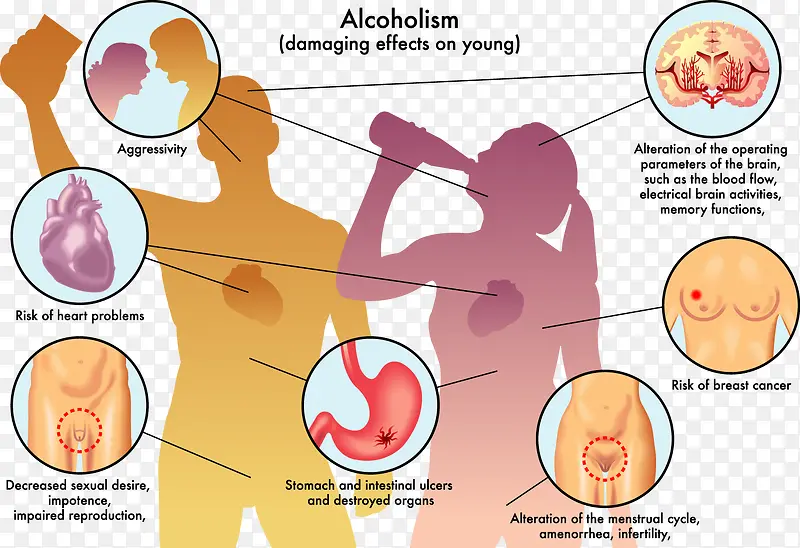 酒精对年轻人的身体影响分析图