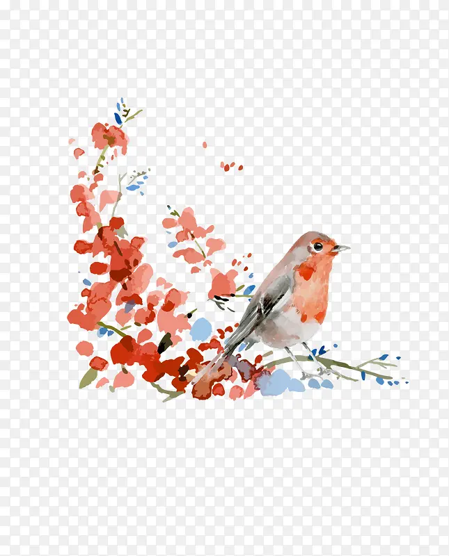 花枝上的鸟