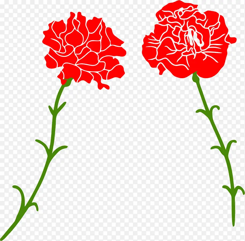 两朵带刺玫瑰