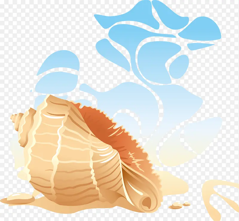 贝壳 沙滩 矢量图 夏日