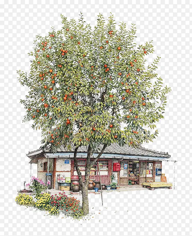 手绘橘子树下的杂货店