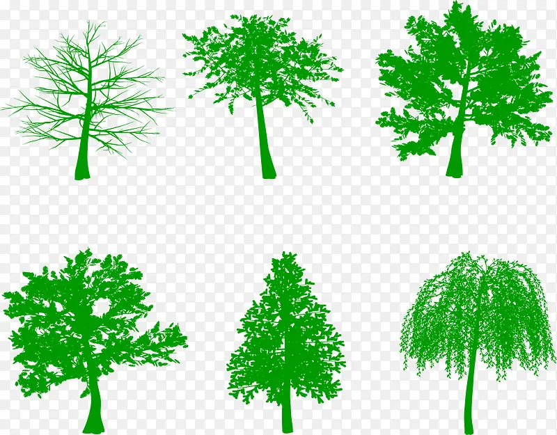 素描手绘绿色春天树木