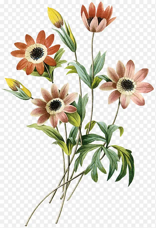 创意扁平手绘花卉植物向日葵