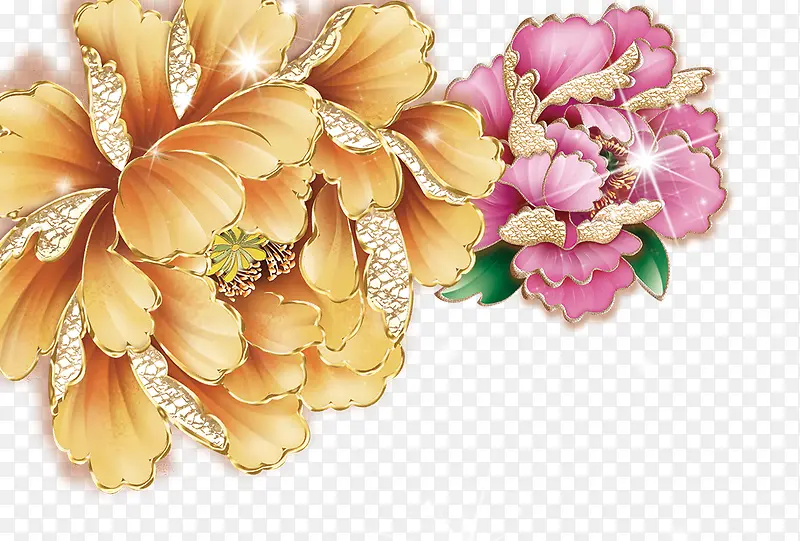 金色菊花