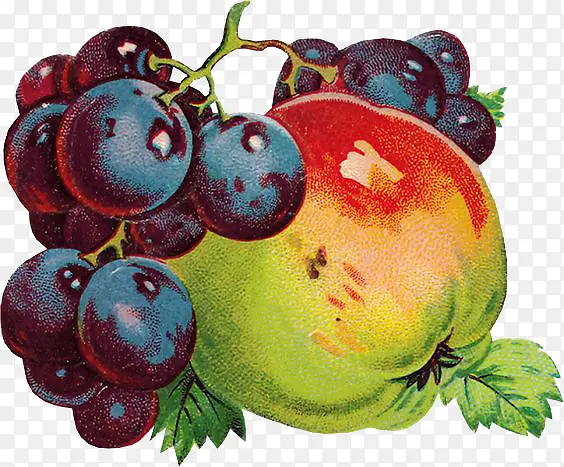 文艺复兴风格苹果和葡萄