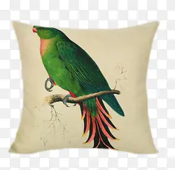 绿色鹦鹉抱枕