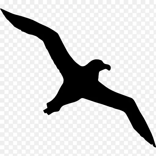 鸟信天翁飞行形状图标