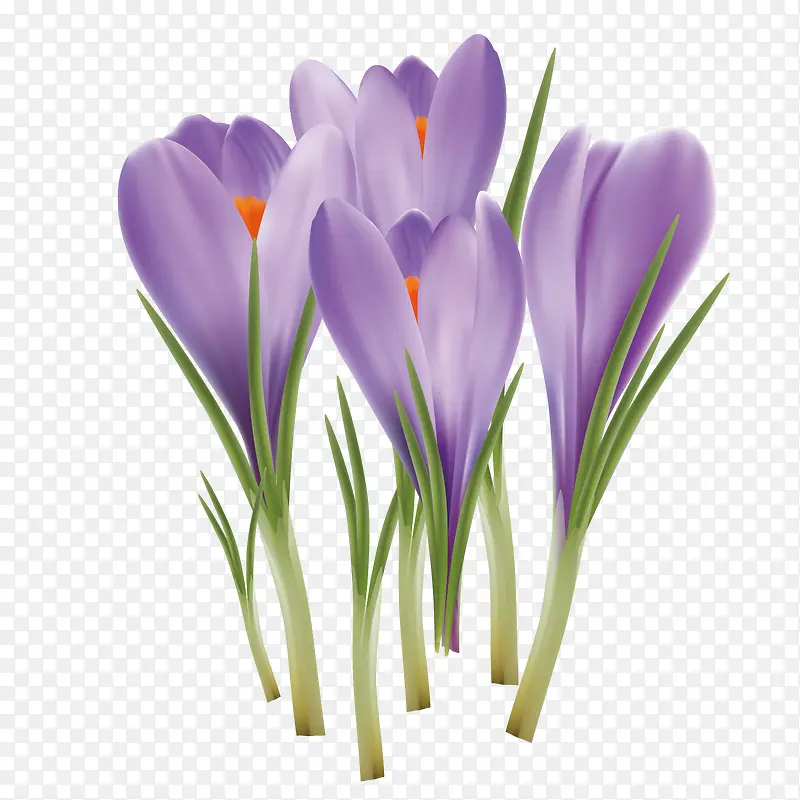 矢量紫色手绘鲜花