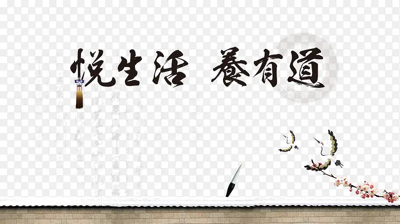 悦生活养有道