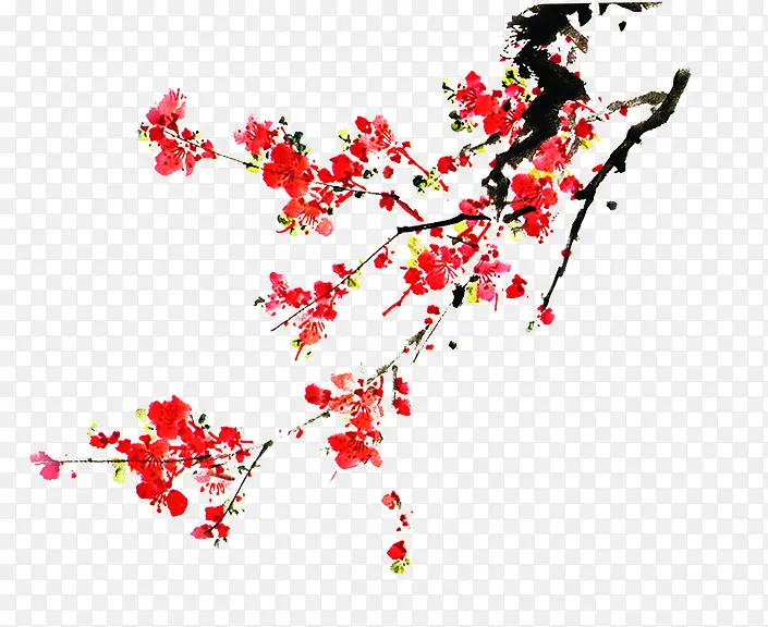 手绘新年红梅树枝