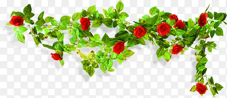 春天田园红色玫瑰装饰