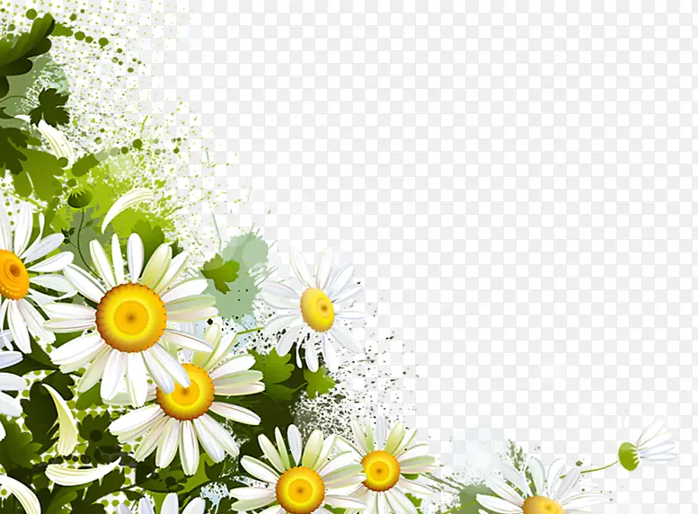 白色小清新鲜花背景图