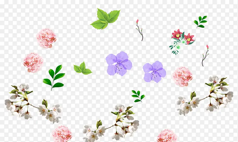 素雅的小花高清素材图样