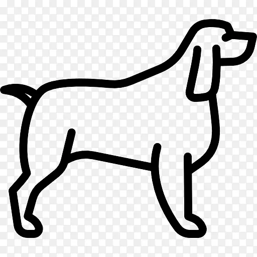 Springer Spaniel 图标