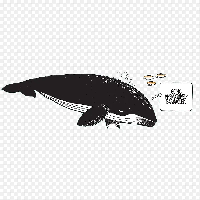 手绘一只黑色座头鲸保护海洋生物