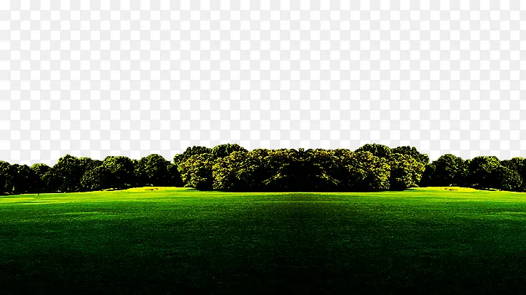 绿色草坪树林风景照