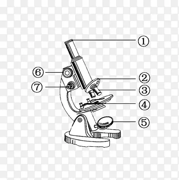 生物学显微镜