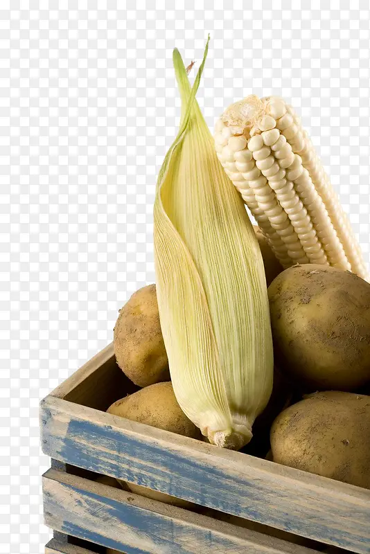 马铃薯 玉米
