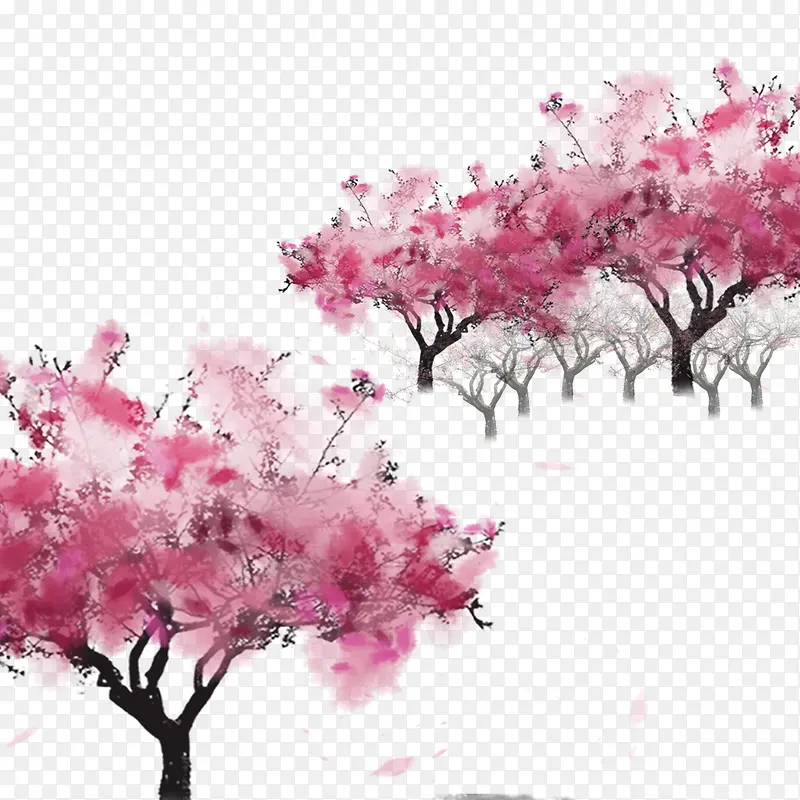 粉红树林