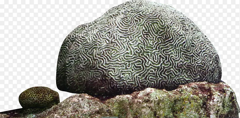 海底礁石