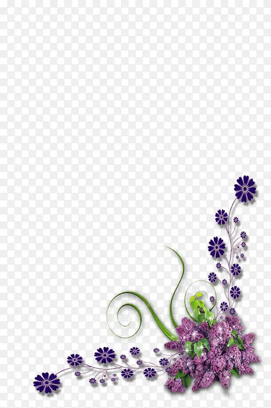 紫色小雏菊花