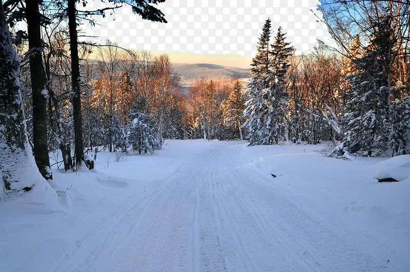 树林小路雪景