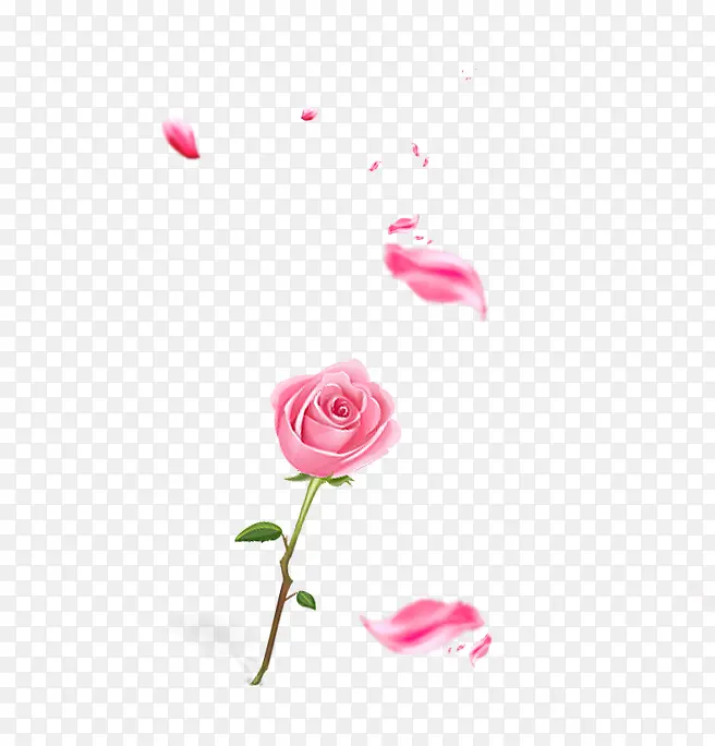 粉色手绘玫瑰花花瓣漂浮装饰图案