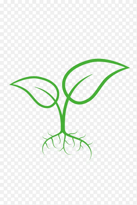 福鼎白茶茶树矢量素材