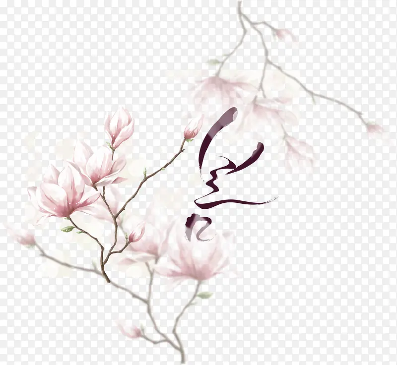 创意高清合成粉红色的花卉玉兰花