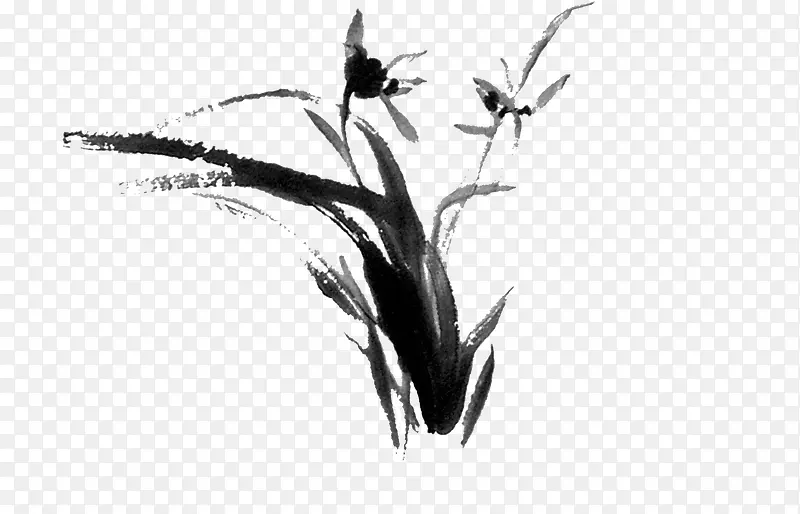 水墨兰花