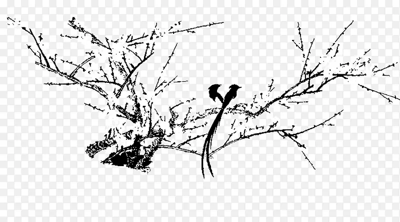 树枝雀鸟绘画