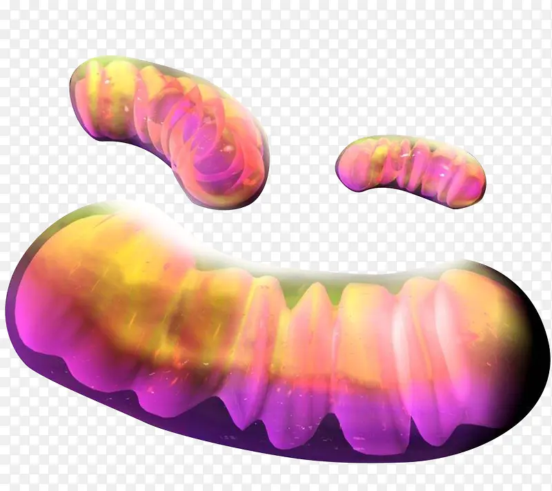 彩色微生物学线粒体插图透明png