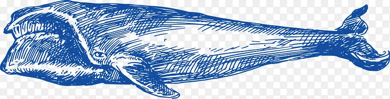 手绘鲸鱼