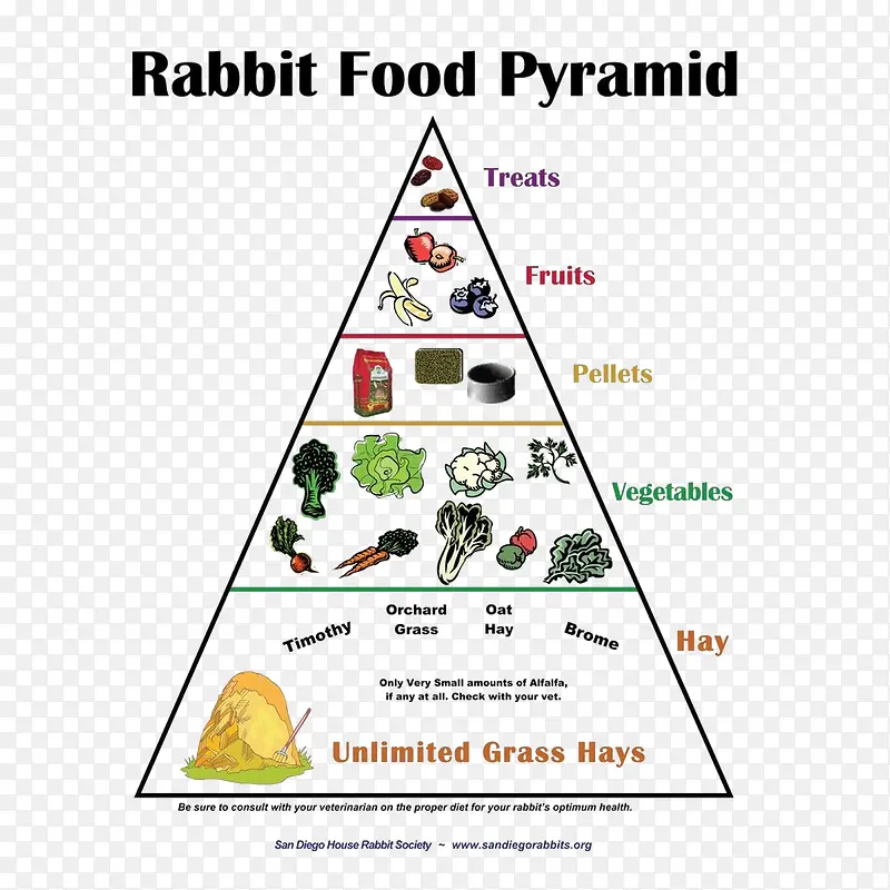 英语每天膳食金字塔