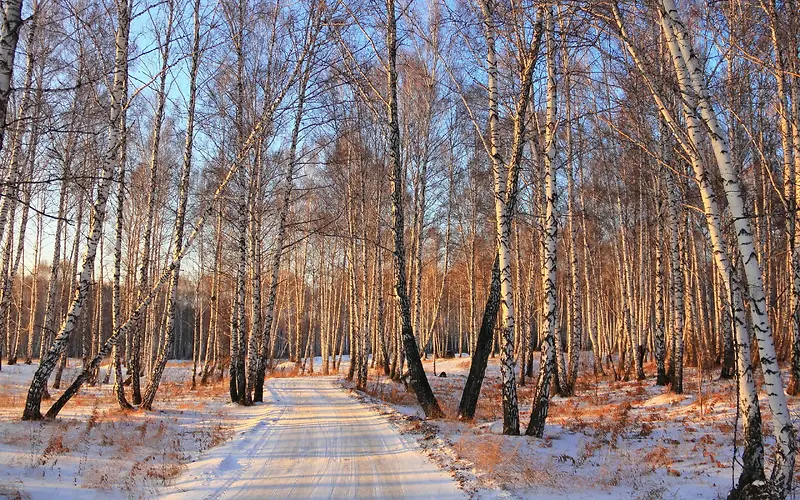 冬天初雪乡间小路