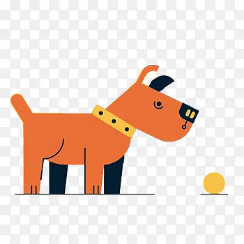 看着球的带着狗链的橙色狗狗