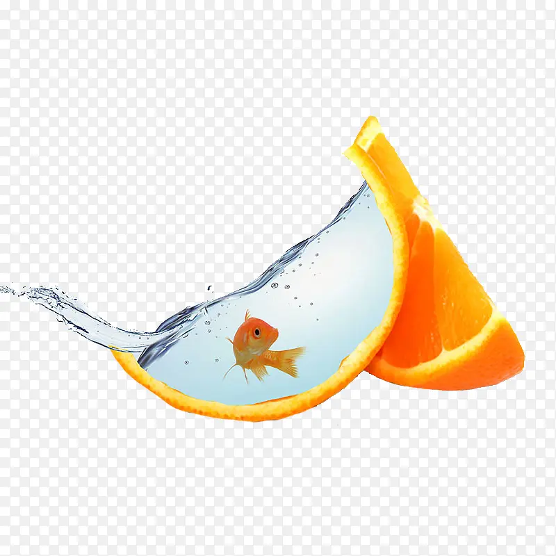 橙子和金鱼