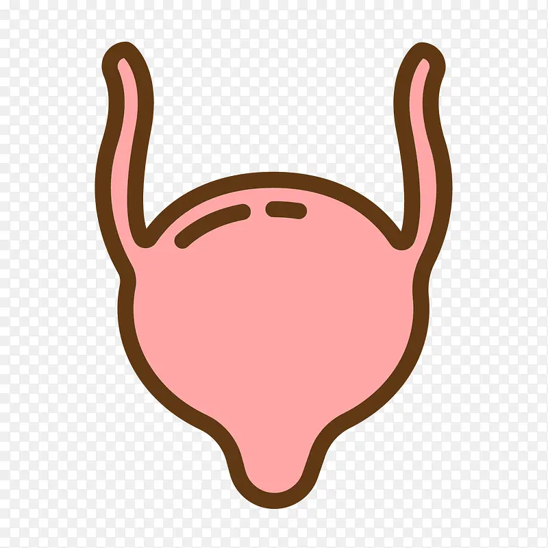 粉色手绘膀胱人体器官图标