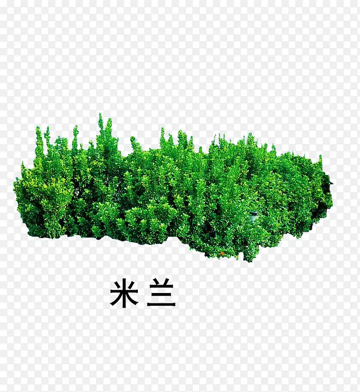 米兰