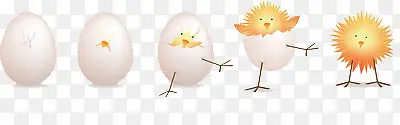 卡通版的鸡蛋孵化成小鸡的过程