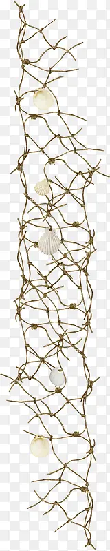 棕色绳子渔网扇贝