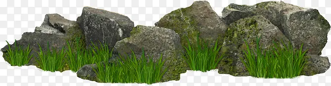岩石绿草图片