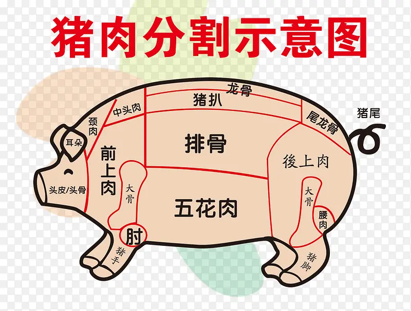 猪肉分割示意图