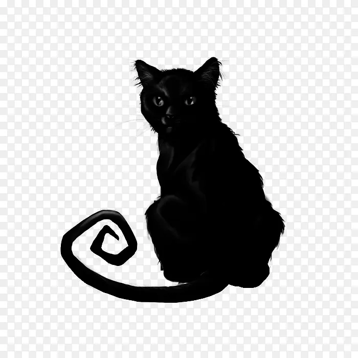 黑色猫图
