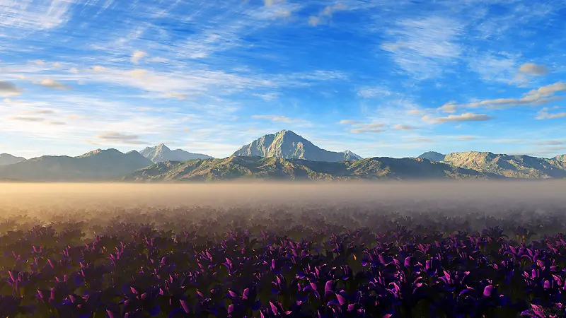 山下的紫色花丛海报背景