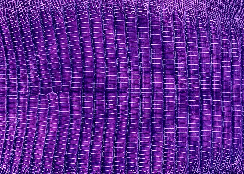紫色皮革材料特写高清