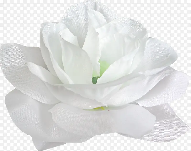 白色 花 背景 装饰花艺